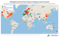 Überblick über die weltweite Corona-Forschung mit Tieren. Karte: EARA