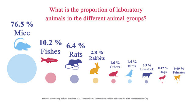 Figure 2: Proportion of different animal groups in the experimental animals in 2022. Image: Tierversuche verstehen