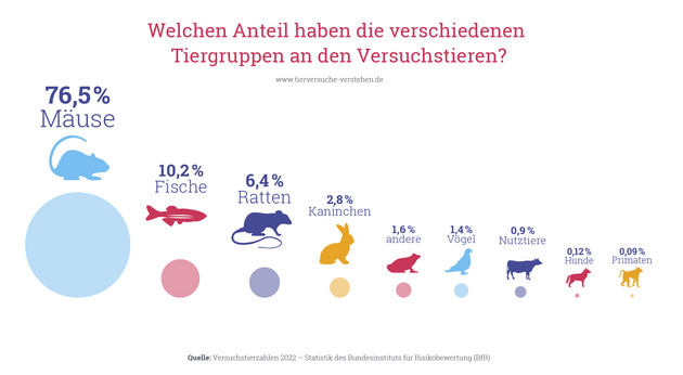Abbildung 2: Anteil der unterschiedlichen Tiergruppen an den Versuchstieren im Jahr 2022. Quelle: Versuchstierdaten 2022, BMEL, BfR. Grafik: Tierversuche verstehen