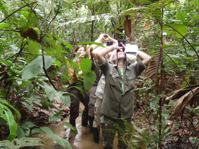 Studierende der Universität Göttingen bei Beobachtungen während eines tropenökologischen Praktikums an der Forschungsstation des Deutschen Primatenzentrums im peruanischen Amazonastiefland. Foto: Tobias Wommelsdorf