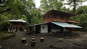 Feldstation in Tangkoko