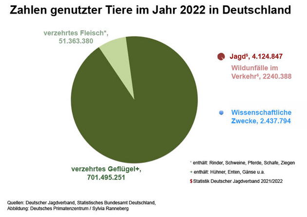 Abbildung 5: Tiernutzung in verschiedenen Bereichen in Deutschland 2022. Quellen: BfR, Deutscher Jagdverband, Statistisches Bundesamt. Abbildung: Deutsches Primatenzentrum / Sylvia Ranneberg