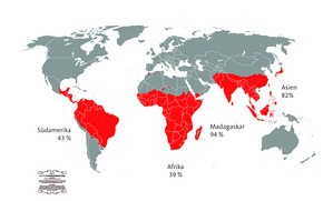 Weltweite Verbreitung der Primatenarten (außer Mensch) und deren Bedrohung. Karte: Graphics Factory CC, www.vectorworldmap.com, Abbildung: Luzie Almenräder