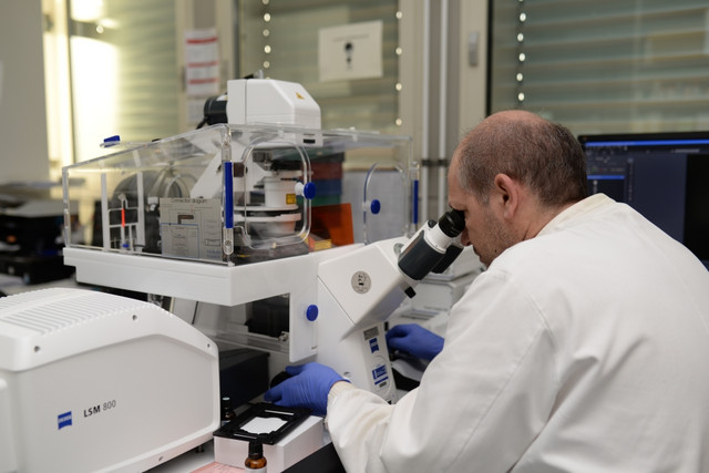Dr. Michael Winkler analysiert Zellen mit dem neuen Mikroskop.