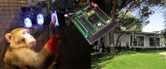 Im Projekt „Plan4Act“ werden proaktive Handlungen von Makaken untersucht (links), um einen Hard- und Software-basierten Controller zu entwickeln (Mitte), der die neuronale Kommunikation mit einem vernetzten Haus ermöglicht. Bildmontage: Universität 