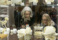 Ein Blick auf Schädel und Gehirne in der Vitrine: Besucher bei der Ausstellungseröffnung. Foto: Karin Tilch