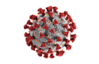 Coronavirus. Bild: cdc