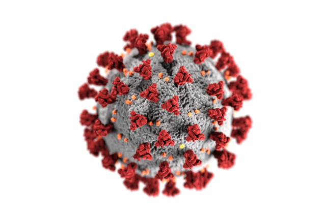 Coronavirus. Bild: cdc