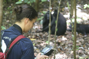 A scientist doing field research in Indonesia: Antje Engelhardt