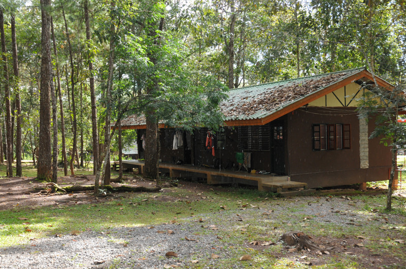 An der Forschungsstation in Thailand wird seit 2005 das Sozialverhalten von Assammakaken untersucht. Foto: Oliver Schülke