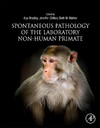 Spontaneous Pathology of the Laboratory Non-Human Primate