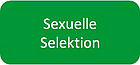 Sexuelle Selektion