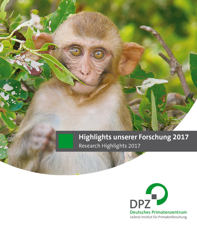 Titelseite der Broschüre "Highlights unserer Forschung 2017".