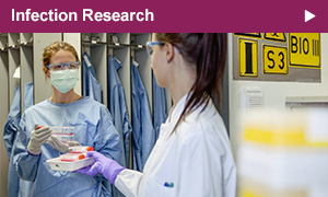 The section Infection Research researches viruses like HIV, influenza (flu) and ebola and newly emerging viruses. Additionally, illnesses caused by bacteria and parasites are investigated.