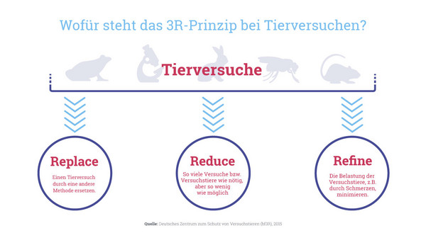 Das 3R-Prinzip. Grafik: Tierversuche verstehen (https://www.tierversuche-verstehen.de/)