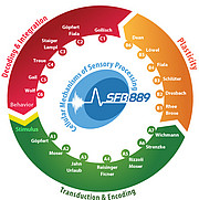 Logo des Sonderforschungsbereiches 889