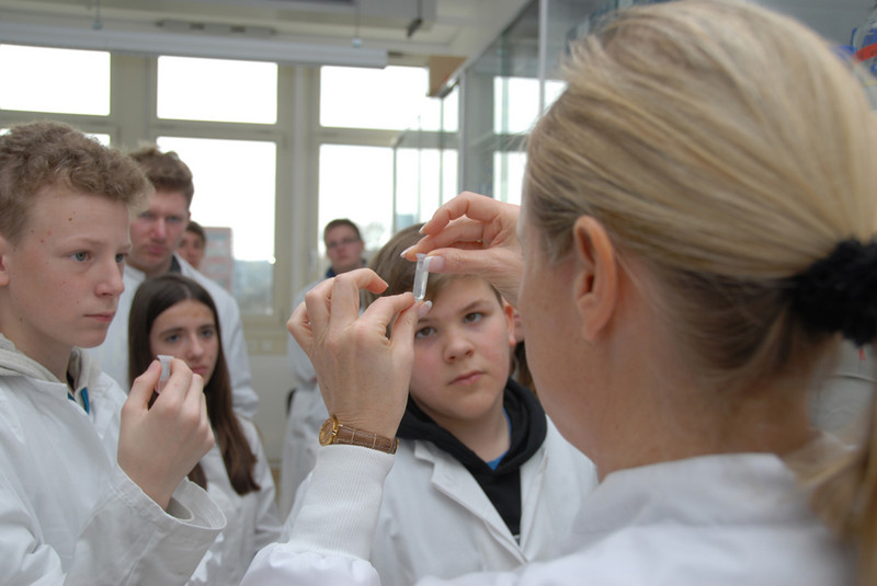 DNA-Extration am Zukunftstag 2014. Schülerinnen und Schüler betrachten ein kleines Röhrchen, in dem DNA schwimmt. Foto: Karin Tilch