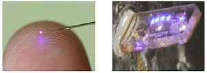 Abb. 1. Linearer Array von Mikroleuchtdioden, die von Freiburger Wissenschaftlern entwickelt wurden. Abbildung: Christian Gossler