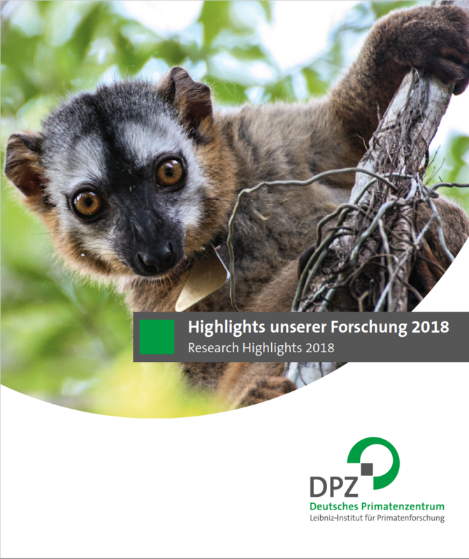 Titelseite der Ausgabe "Highlights unserer Forschung 2018". Gestaltung: Heike Klensang