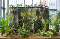Das Amazonien-Diorama im Foyer des Deutschen Primatenzentrums stimmt die Ausstellungsbesucher*innen auf das Thema ein. Foto: Karin Tilch