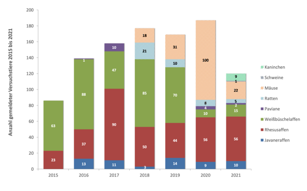 Anzahl und Art gemeldeter Versuchstiere am DPZ von 2015 bis 2021. Grafik: Sylvia Ranneberg