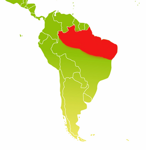 Distribution area of common marmosets in Brazil. Image: Sylvia Siersleben