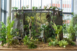 Das Regenwald-Diorama im Foyer stimmt die Besuchenden auf die Ausstellung ein. Foto: Karin Tilch