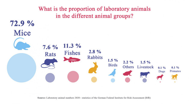 Figure 2: Proportion of different animal groups in the experimental animals in 2020. Image: Tierversuche verstehen