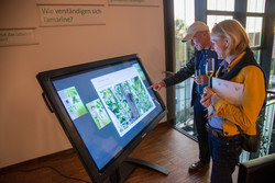 Besucher folgen am Touchscreen einer Gruppe Tamarine durch den Tag. Foto: Jana Wilken