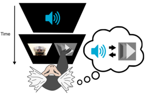 Fig. 1. Typical logic of a behavioral task in the MXBI: a sound is presented based on which a monkey has to make a decision to interact with a touchscreen to receive a reward. Foto: Jorge Cabrera Moreno
