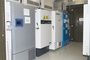 Refrigeration equipment accounts for one-tenth of annual electricity costs at DPZ. Photo: Sascha Bubner