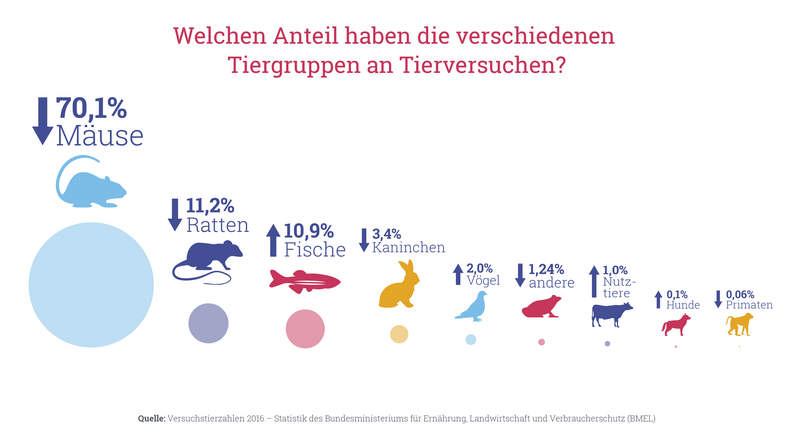 Der Anteil der Tiergruppen an den Tierversuchen. Die Pfeile geben die Tendenz gegenüber dem Vorjahr an. Abbildung: Tierversuche verstehen.