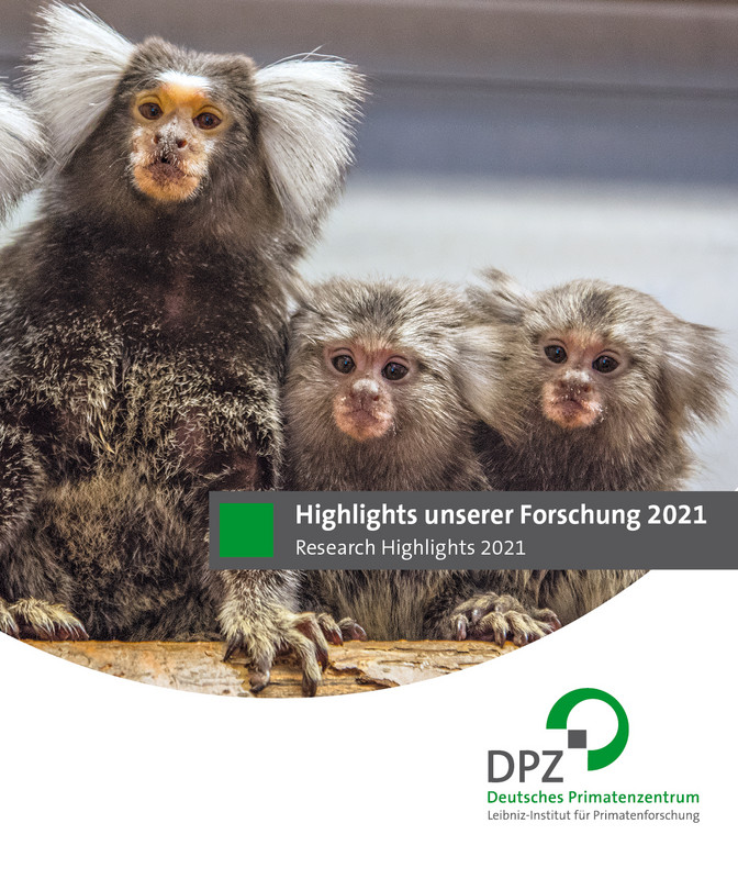 Broschüre "Highlights unserer Forschung 2021". Gestaltung: Heike Klensang