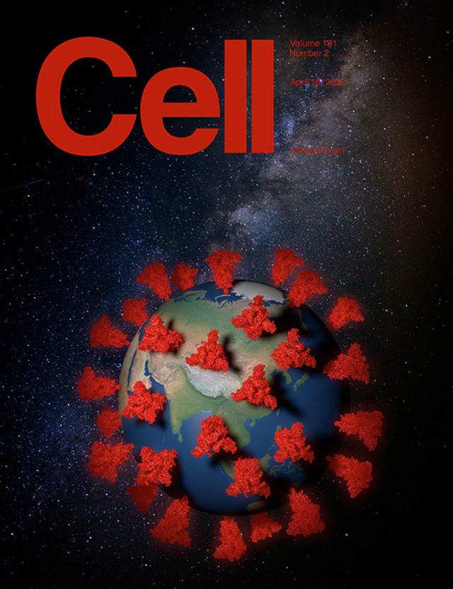 Titelseite des aktuellen Cell-Magazins.