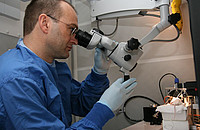Das Foto zeigt Moser im Labor