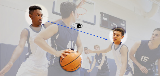 Wenn wir Basketball schauen, gelingt es uns problemlos, den Ball im Blick zu behalten, auch wenn wir zahlreiche Augenbewegungen machen, um auch auch die Spieler zu beobachten. Foto: Monkey Business Images/ Fotolia 