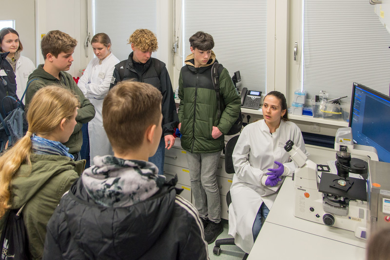 Ein besonderes Highlight war es für die Schüler*innen, lebenden Herzmuskelzellen unter dem Mikroskop beim gleichmäßigen Zucken zuzusehen. Foto: Jana Wilken