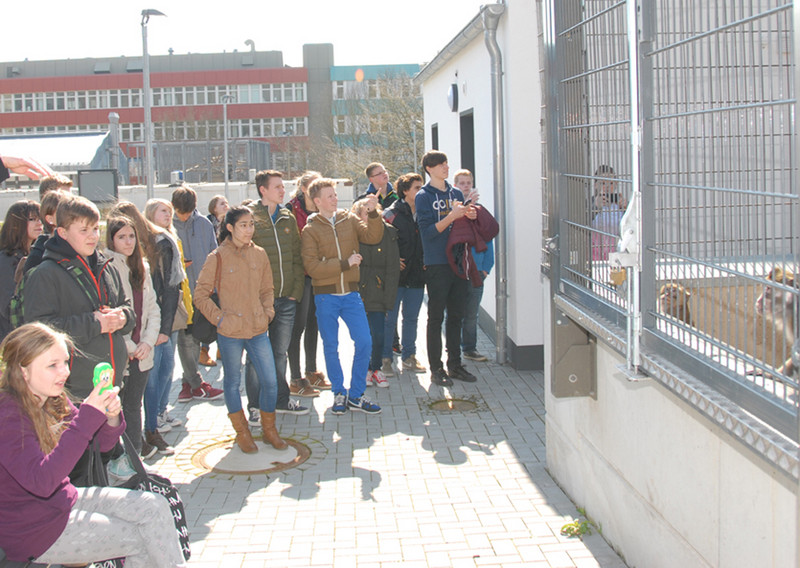 Schülerinnen und Schüler vor dem Javaner-Affen-Gehege.