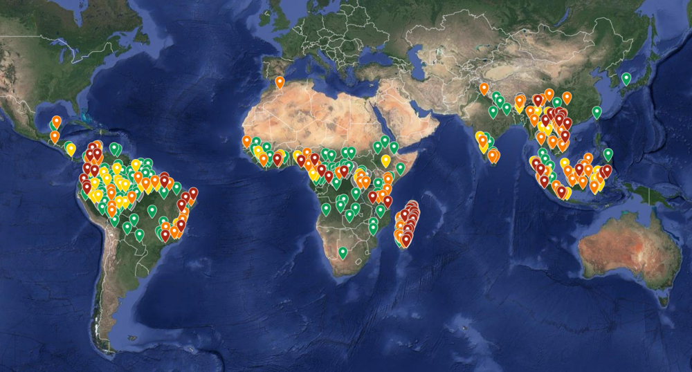 Google world map showing the distribution and threat status of all 514 primate species. Map: Google Maps