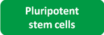 Pluripotent stem cells