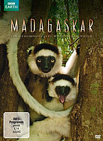 DVD Cover: Madagaskar