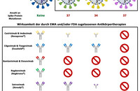 Die Omikron-Untervarianten BA.1, BA.4, BA.5 sowie Q.1.1 weisen eine hohe Anzahl an Mutationen im Spike-Protein auf. Bei einigen dieser Mutationen handelt es sich um Fluchtmutationen, die es dem Virus erlauben, der Neutralisation durch Antikörper zu entkommen. Zusätzlich kommt es auch zur Resistenzentstehung gegenüber biotechnologisch hergestellten Antikörpern, die Risikopatient*innen vorbeugend oder als Therapie bei einer diagnostizierten SARS-CoV-2-Infektion verabreicht werden. Die Omikron-Untervariante BQ.1.1 ist die erste Variante, die gegen alle derzeitig durch die EMA (Europäische Arzneimittel-Agentur, European Medicines Agency) und/oder FDA (US-Amerikanische Behörde für Lebens- und Arzneimittel, Food and Drug Administration) zugelassenen Antikörpertherapien resistent ist. 
