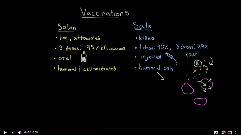 A video about polio vaccination strategies