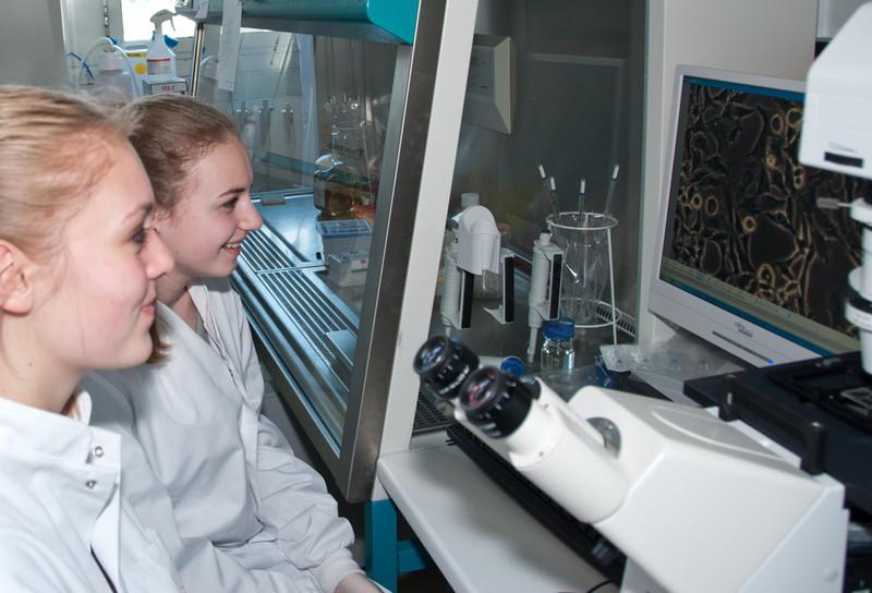Zukunftstag 2014: Schülerinnen betrachten Zellen unter dem Mikroskop. Foto: Karin Tilch