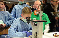 Was es da zu sehen gibt? Jungforscher staunen beim Blick durch das Mikroskop. Foto: Luzie J. Almenräder 