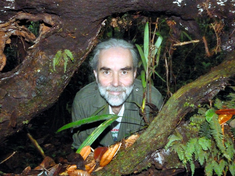 Prof. Dr. Eckhard W. Heymann forscht seit fast 40 Jahren im Amazonasregenwald und hat die DPZ-Forschungsstation Estación Biológica Quebrada Blanco aufgebaut. Foto: DPZ