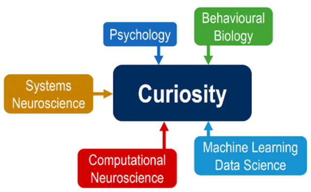 Logo des neuen GRK „Curiosity (Neugier)“ an der Fakultät für Biologie und Psychologie der Universität Göttingen. Grafik: GRK Curiosity
