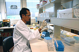 (c) DPZ, 2008 (Laboratory Work)