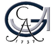 Logo des Courant Forschungszentrums