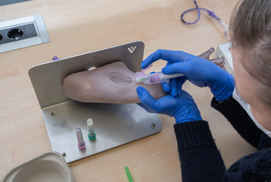 Die Nachbildung eines Rhesusaffenbeins aus Silikon, um Blutentnahmen aus der Leiste zu erlernen. Foto: Manfred Eberle